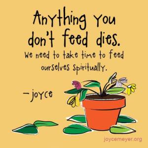 11885215_10153668007052384_5260891321487617553_n