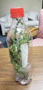 40674451_10155998747647872_3751006187563253760_o