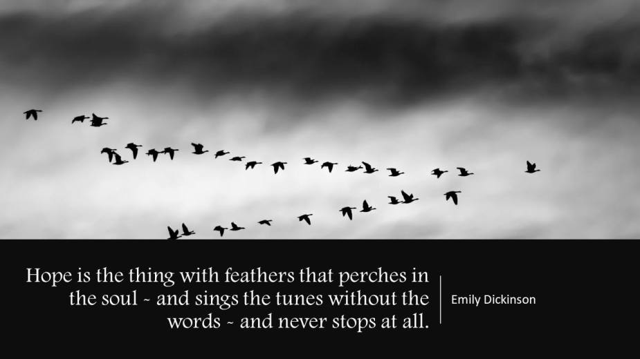 24297542_10155349792837872_7873215120251118801_o