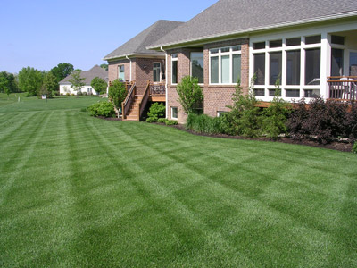 perfect-lawn