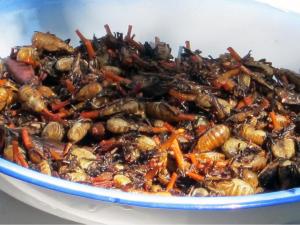 Giraffe Weevil cooked