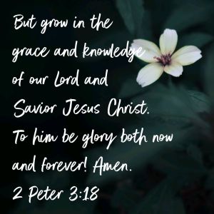 1562429793652_verse_image