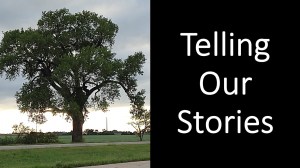 Telling our Stories Heading